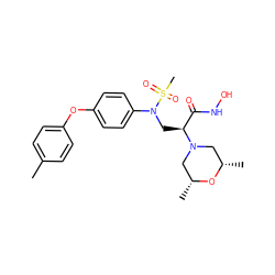 Cc1ccc(Oc2ccc(N(C[C@@H](C(=O)NO)N3C[C@H](C)O[C@H](C)C3)S(C)(=O)=O)cc2)cc1 ZINC000029039962