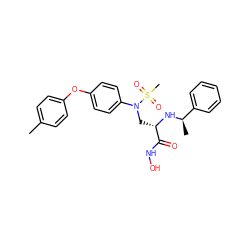 Cc1ccc(Oc2ccc(N(C[C@H](N[C@H](C)c3ccccc3)C(=O)NO)S(C)(=O)=O)cc2)cc1 ZINC000096319066