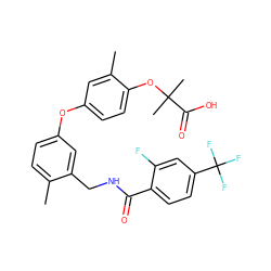 Cc1ccc(Oc2ccc(OC(C)(C)C(=O)O)c(C)c2)cc1CNC(=O)c1ccc(C(F)(F)F)cc1F ZINC000028825475