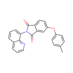 Cc1ccc(Oc2ccc3c(c2)C(=O)N(c2cccc4cccnc24)C3=O)cc1 ZINC000001119870