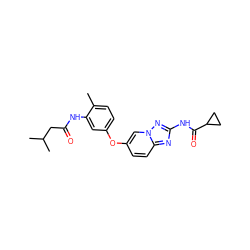 Cc1ccc(Oc2ccc3nc(NC(=O)C4CC4)nn3c2)cc1NC(=O)CC(C)C ZINC000096916332