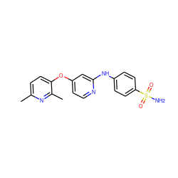 Cc1ccc(Oc2ccnc(Nc3ccc(S(N)(=O)=O)cc3)c2)c(C)n1 ZINC000039001864