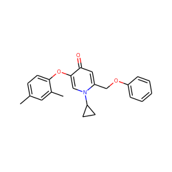 Cc1ccc(Oc2cn(C3CC3)c(COc3ccccc3)cc2=O)c(C)c1 ZINC000141720528