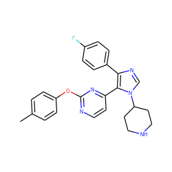 Cc1ccc(Oc2nccc(-c3c(-c4ccc(F)cc4)ncn3C3CCNCC3)n2)cc1 ZINC000036127110