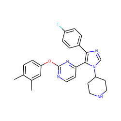 Cc1ccc(Oc2nccc(-c3c(-c4ccc(F)cc4)ncn3C3CCNCC3)n2)cc1C ZINC000036127072