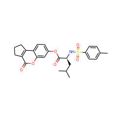 Cc1ccc(S(=O)(=O)N[C@@H](CC(C)C)C(=O)Oc2ccc3c4c(c(=O)oc3c2)CCC4)cc1 ZINC000000627709