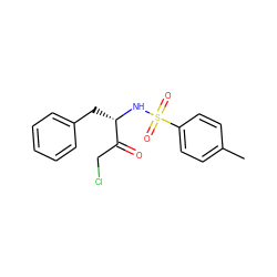 Cc1ccc(S(=O)(=O)N[C@@H](Cc2ccccc2)C(=O)CCl)cc1 ZINC000000901254