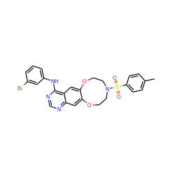 Cc1ccc(S(=O)(=O)N2CCOc3cc4ncnc(Nc5cccc(Br)c5)c4cc3OCC2)cc1 ZINC000084732446