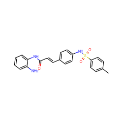 Cc1ccc(S(=O)(=O)Nc2ccc(/C=C/C(=O)Nc3ccccc3N)cc2)cc1 ZINC000001489489