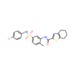 Cc1ccc(S(=O)(=O)Nc2ccc(Cl)cc2)cc1NC(=O)c1cc2c(s1)CCCC2 ZINC000008692342