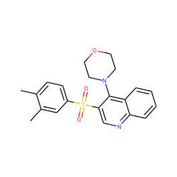 Cc1ccc(S(=O)(=O)c2cnc3ccccc3c2N2CCOCC2)cc1C ZINC000020381386