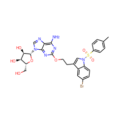 Cc1ccc(S(=O)(=O)n2cc(CCOc3nc(N)c4ncn([C@@H]5O[C@H](CO)[C@@H](O)[C@H]5O)c4n3)c3cc(Br)ccc32)cc1 ZINC000028636070