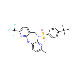 Cc1ccc2c(n1)N(S(=O)(=O)c1ccc(C(C)(C)C)cc1)Cc1ccc(C(F)(F)F)nc1N2 ZINC000095578595