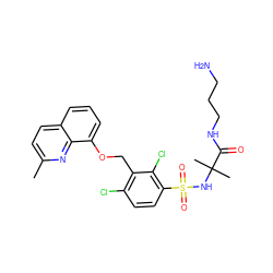 Cc1ccc2cccc(OCc3c(Cl)ccc(S(=O)(=O)NC(C)(C)C(=O)NCCCN)c3Cl)c2n1 ZINC000044052516