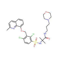 Cc1ccc2cccc(OCc3c(Cl)ccc(S(=O)(=O)NC(C)(C)C(=O)NCCCN4CCOCC4)c3Cl)c2n1 ZINC000043524299