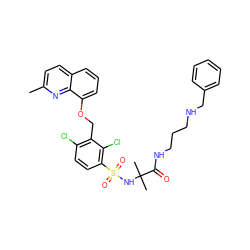 Cc1ccc2cccc(OCc3c(Cl)ccc(S(=O)(=O)NC(C)(C)C(=O)NCCCNCc4ccccc4)c3Cl)c2n1 ZINC000044052740