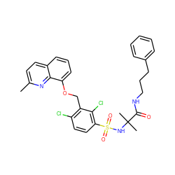 Cc1ccc2cccc(OCc3c(Cl)ccc(S(=O)(=O)NC(C)(C)C(=O)NCCCc4ccccc4)c3Cl)c2n1 ZINC000043524581