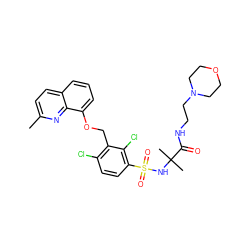 Cc1ccc2cccc(OCc3c(Cl)ccc(S(=O)(=O)NC(C)(C)C(=O)NCCN4CCOCC4)c3Cl)c2n1 ZINC000044053114