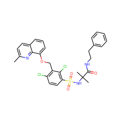 Cc1ccc2cccc(OCc3c(Cl)ccc(S(=O)(=O)NC(C)(C)C(=O)NCCc4ccccc4)c3Cl)c2n1 ZINC000043531862