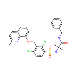 Cc1ccc2cccc(OCc3c(Cl)ccc(S(=O)(=O)NC(C)(C)C(=O)NCc4ccccc4)c3Cl)c2n1 ZINC000044031949