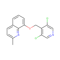 Cc1ccc2cccc(OCc3c(Cl)cncc3Cl)c2n1 ZINC000043061221