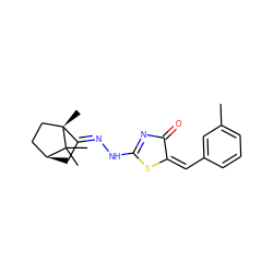 Cc1cccc(/C=C2/SC(N/N=C3\C[C@H]4CC[C@@]3(C)C4(C)C)=NC2=O)c1 ZINC000101866910