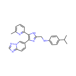 Cc1cccc(-c2[nH]c(CNc3ccc(C(C)C)cc3)nc2-c2ccc3ncnn3c2)n1 ZINC000113390589