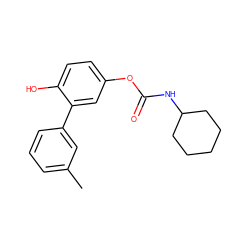 Cc1cccc(-c2cc(OC(=O)NC3CCCCC3)ccc2O)c1 ZINC000096273123