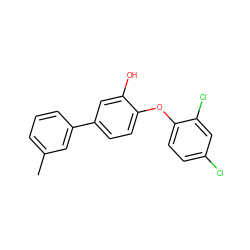 Cc1cccc(-c2ccc(Oc3ccc(Cl)cc3Cl)c(O)c2)c1 ZINC000029061110