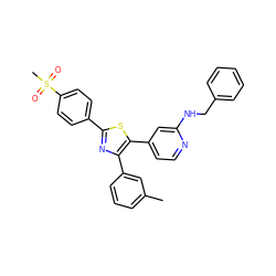 Cc1cccc(-c2nc(-c3ccc(S(C)(=O)=O)cc3)sc2-c2ccnc(NCc3ccccc3)c2)c1 ZINC000013673422