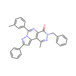 Cc1cccc(-c2nc3c(=O)n(Cc4ccccc4)nc(C)c3c3cc(-c4ccccc4)nn23)c1 ZINC000028524167