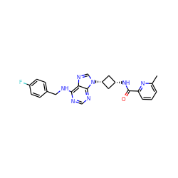 Cc1cccc(C(=O)N[C@H]2C[C@@H](n3cnc4c(NCc5ccc(F)cc5)ncnc43)C2)n1 ZINC001772598560