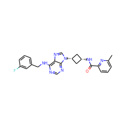 Cc1cccc(C(=O)N[C@H]2C[C@@H](n3cnc4c(NCc5cccc(F)c5)ncnc43)C2)n1 ZINC001772620119