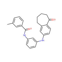 Cc1cccc(C(=O)Nc2cccc(Nc3ccc4c(c3)CCCCC4=O)c2)c1 ZINC000095577685