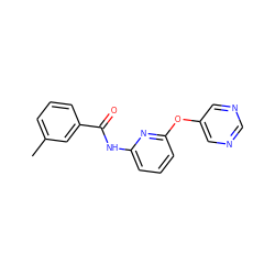 Cc1cccc(C(=O)Nc2cccc(Oc3cncnc3)n2)c1 ZINC000096175626