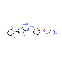 Cc1cccc(C)c1-c1cc(C)c2nc(Nc3cccc(C(=O)N[C@@H]4CCNC4)c3)nnc2c1 ZINC000038269504