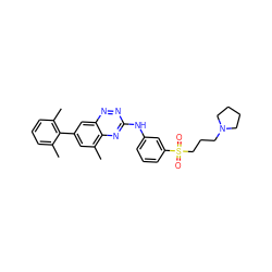 Cc1cccc(C)c1-c1cc(C)c2nc(Nc3cccc(S(=O)(=O)CCCN4CCCC4)c3)nnc2c1 ZINC000035881439