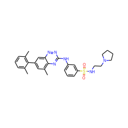 Cc1cccc(C)c1-c1cc(C)c2nc(Nc3cccc(S(=O)(=O)NCCN4CCCC4)c3)nnc2c1 ZINC000034638340