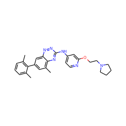 Cc1cccc(C)c1-c1cc(C)c2nc(Nc3ccnc(OCCN4CCCC4)c3)nnc2c1 ZINC000028702875