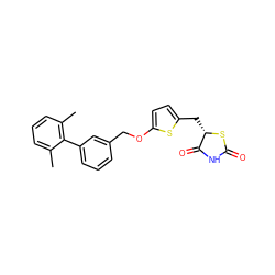 Cc1cccc(C)c1-c1cccc(COc2ccc(C[C@@H]3SC(=O)NC3=O)s2)c1 ZINC001772613496