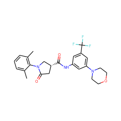 Cc1cccc(C)c1N1C[C@H](C(=O)Nc2cc(N3CCOCC3)cc(C(F)(F)F)c2)CC1=O ZINC000205764015