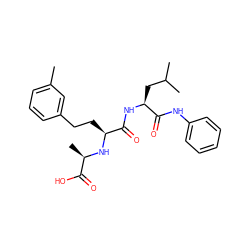 Cc1cccc(CC[C@H](N[C@H](C)C(=O)O)C(=O)N[C@@H](CC(C)C)C(=O)Nc2ccccc2)c1 ZINC000026494685