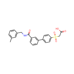 Cc1cccc(CNC(=O)c2cccc(-c3ccc(S(=O)(=O)CC(=O)O)cc3)c2)c1 ZINC000003600310