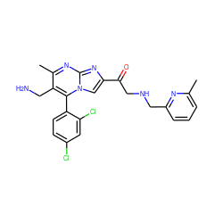 Cc1cccc(CNCC(=O)c2cn3c(-c4ccc(Cl)cc4Cl)c(CN)c(C)nc3n2)n1 ZINC000058568319