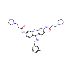 Cc1cccc(CNc2c3ccc(NC(=O)CCN4CCCC4)cc3nc3cc(NC(=O)CCN4CCCC4)ccc23)c1 ZINC000028878740