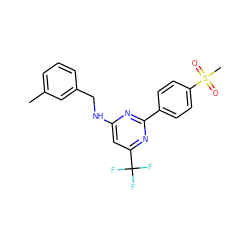 Cc1cccc(CNc2cc(C(F)(F)F)nc(-c3ccc(S(C)(=O)=O)cc3)n2)c1 ZINC000029132571