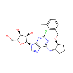 Cc1cccc(CO[C@H]2CCC[C@@H]2Nc2nc(Cl)nc3c2ncn3[C@H]2O[C@H](CO)[C@@H](O)[C@H]2O)c1 ZINC000096169091