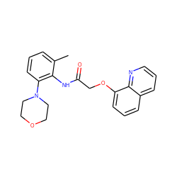 Cc1cccc(N2CCOCC2)c1NC(=O)COc1cccc2cccnc12 ZINC001772607863