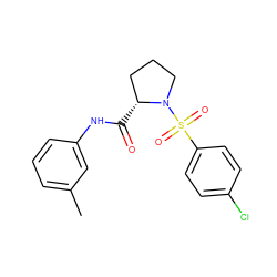 Cc1cccc(NC(=O)[C@@H]2CCCN2S(=O)(=O)c2ccc(Cl)cc2)c1 ZINC000003181420