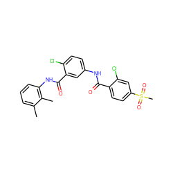 Cc1cccc(NC(=O)c2cc(NC(=O)c3ccc(S(C)(=O)=O)cc3Cl)ccc2Cl)c1C ZINC000103246653